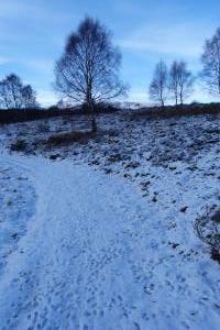 Loch Kinord - a walk one day (3)